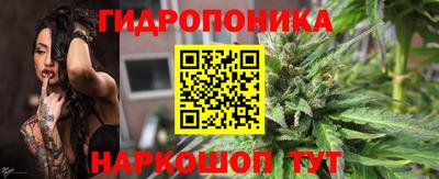 гашик Донской