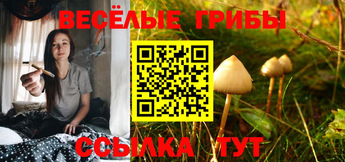 Псилоцибиновые грибы Cubensis Жигулёвск